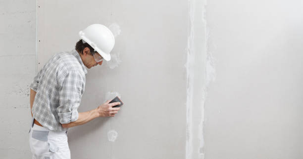 Sundown, TX Mold Removal Company